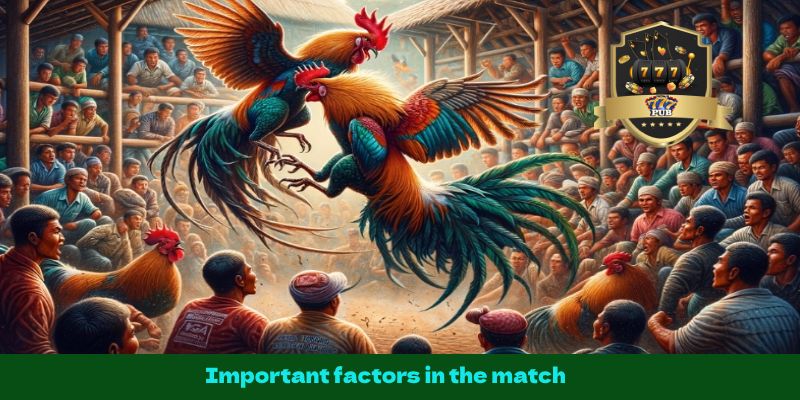 Important factors in the match