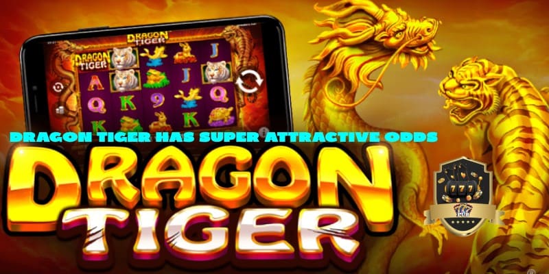 Dragon Tiger has super attractive odds