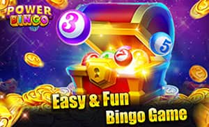 iRich-Bingo-777pub