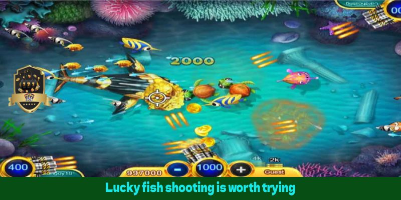 Lucky fish shooting is worth trying